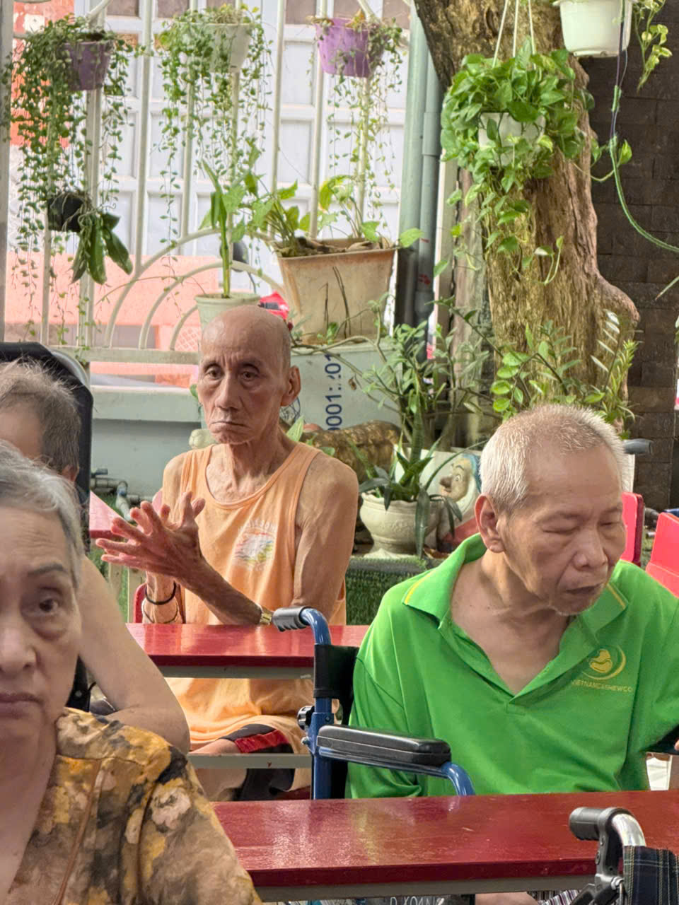 vien-duong-lao-tu-nhan-gia-hop-ly-tphcm